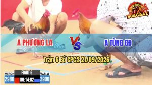 Trận 6 CPC2 21/09/2026 – Anh Tùng GĐ Hạ Anh Phương LA Nhanh Gọn