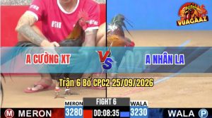 Trận 6 CPC2 25/09/2026 – Gà Anh Nhân LA Đá Đúng 1 Tay Nước
