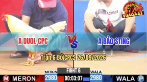 Trận 6 CPC2 26/09/2026 – Idol Bảo Sting Gặp Anh Duol Campuchia