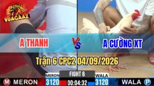 Trận 6 CPC2 Ngày 4/9/2026