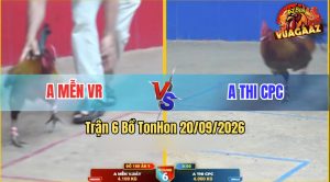 Trận 6 Tonhon 20/09/2026 – Anh Mễn VR Thành Công Đánh Bại Anh Thi