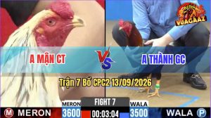 Trận 7 CPC2 13/09/2026 – Anh Mận Tung Hàng Hiệu Vào Canh Chặn Quá Hay
