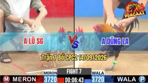 Trận 7 CPC2 14/09/2026 – Anh Lũ Sài Gòn Gặp Anh Dũng Long An