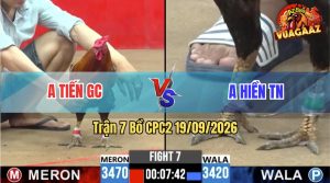 Trận 7 CPC2 19/09/2026 – Anh Hiền Tây Ninh Hạ Gọn Anh Tiến GC