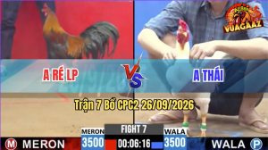 Trận 7 CPC2 26/09/2026 – Gà Điều Anh Ré Nhấp Mấy Chân Lụm Tiền