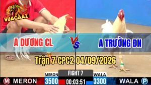 Trận 7 CPC2 Ngày 4/9/2026