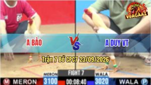 Trận 7 CPC7 23/09/2026 – Anh Bảo Dí Bạc Anh Duy Ăn 6 Và Cái Kết