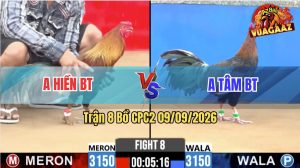 Trận 8 CPC2 09/09/2026 – Anh Tâm Tung Gà Điều Chân Vào Đá Đúng 3 Chân
