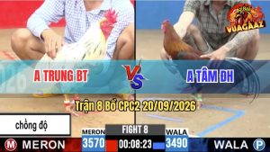 Trận 8 CPC2 20/09/2026 – Anh Tâm Hạ Luôn Gà Chồng Độ Của Anh Trung