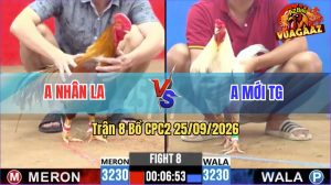 Trận 8 CPC2 25/09/2026 – Gà Khét Anh Nhân Đá Chân Nào Cũng Có Cựa
