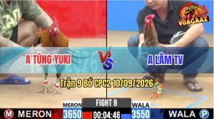 Trận 9 CPC2 10/09/2026 – Anh Lâm Trà Vinh Làm Thịt Anh Tùng Yuki