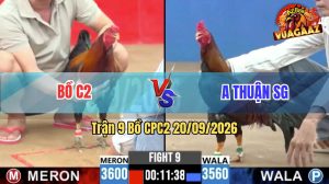 Trận 9 CPC2 20/09/2026 – Anh Thuận SG Đánh Bại Gà Của Bồ C2