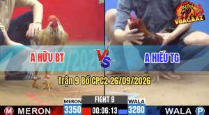 Trận 9 CPC2 26/09/2026 – Gà Điều Anh Hiếu Đá Đâm Như Đời Tới