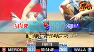 Trận 9 CPC7 23/09/2026 – Anh Tài BP Gặp Chị Kim, Đá Xổ Nửa Tỷ