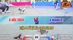 Trận 9 Xà Xía 24/09/2026 – Anh Mạnh Bến Tre Làm Thịt Anh Hắc Coca
